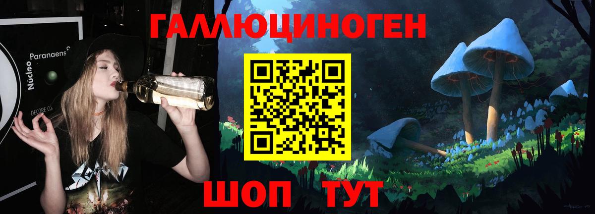 Псилоцибиновые грибы Psilocybe  Псилоцибиновые грибы Psilocybe  Вход с VPN  Карачаевск 